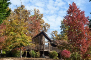 ER79 - Robyn's Nest - Great location, Close to all the action! cabin
